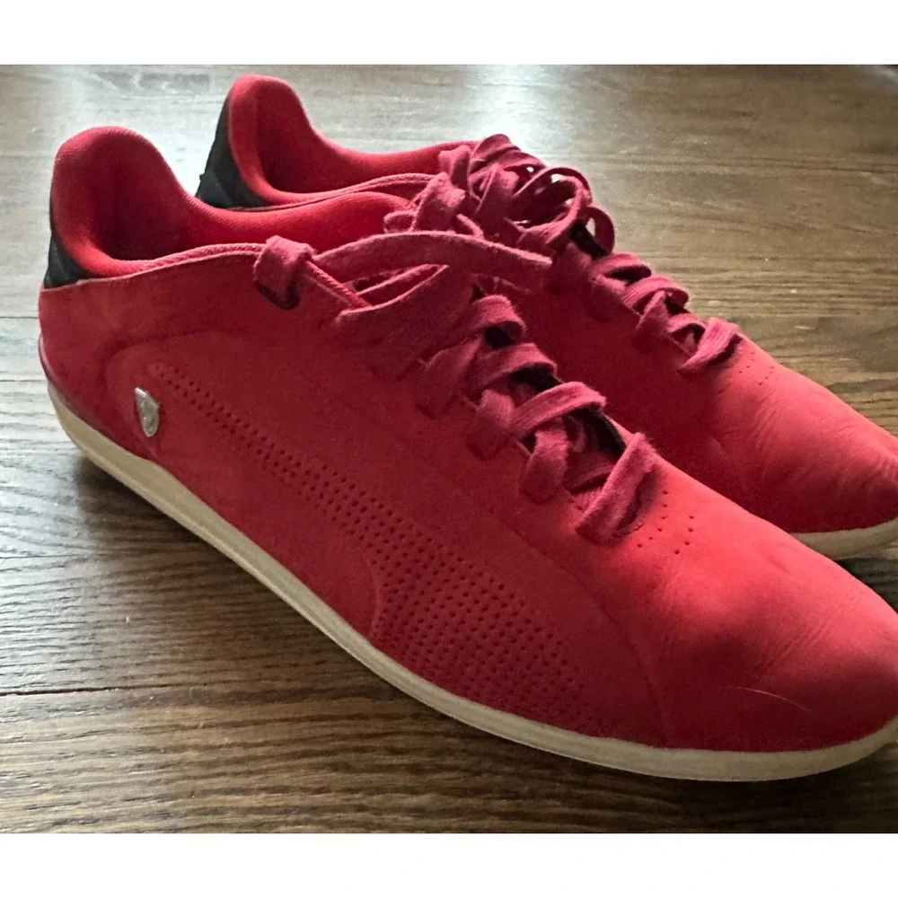 Puma gigante lo